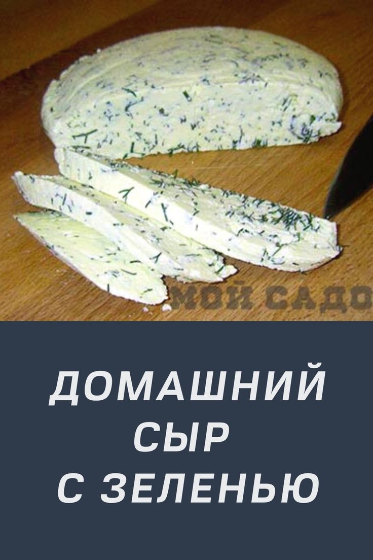 Домашние сыры рецепты