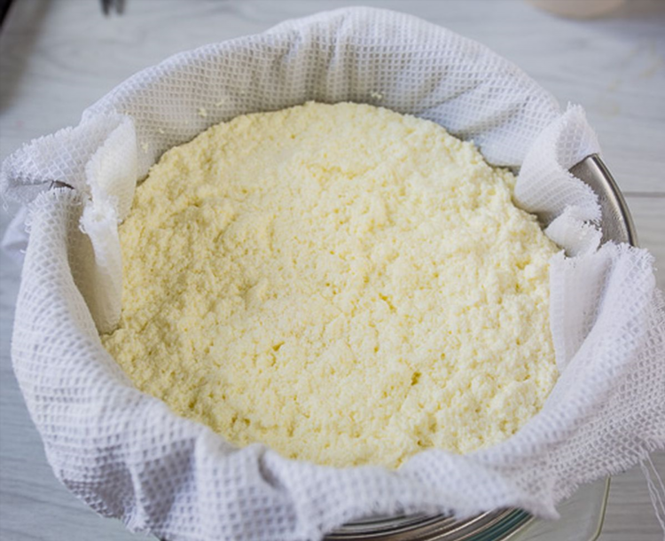 Рецепт приготовления домашнего сыра из молока