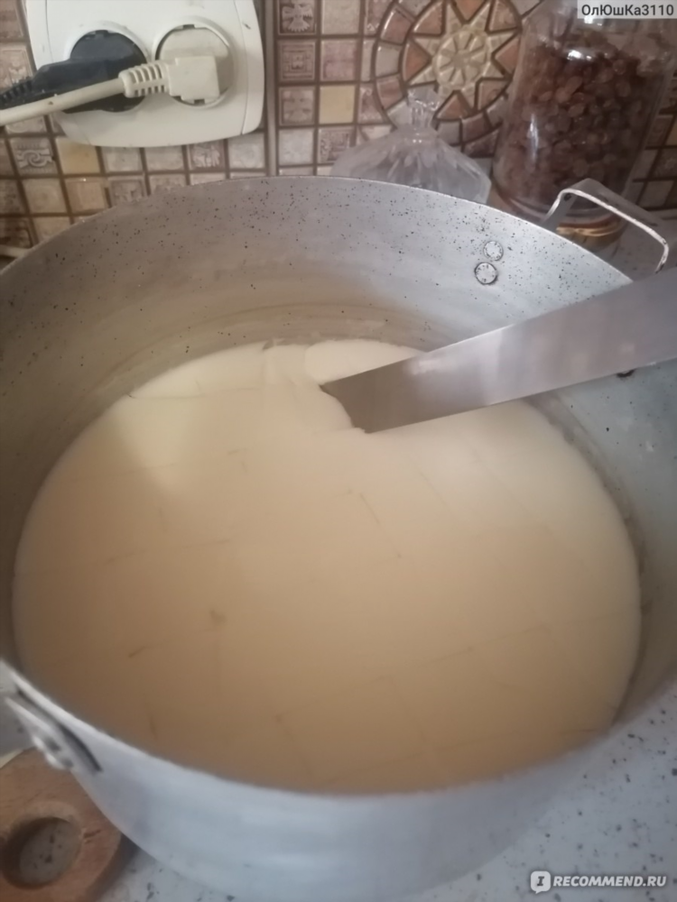Сыр домашний из молока и пепсина