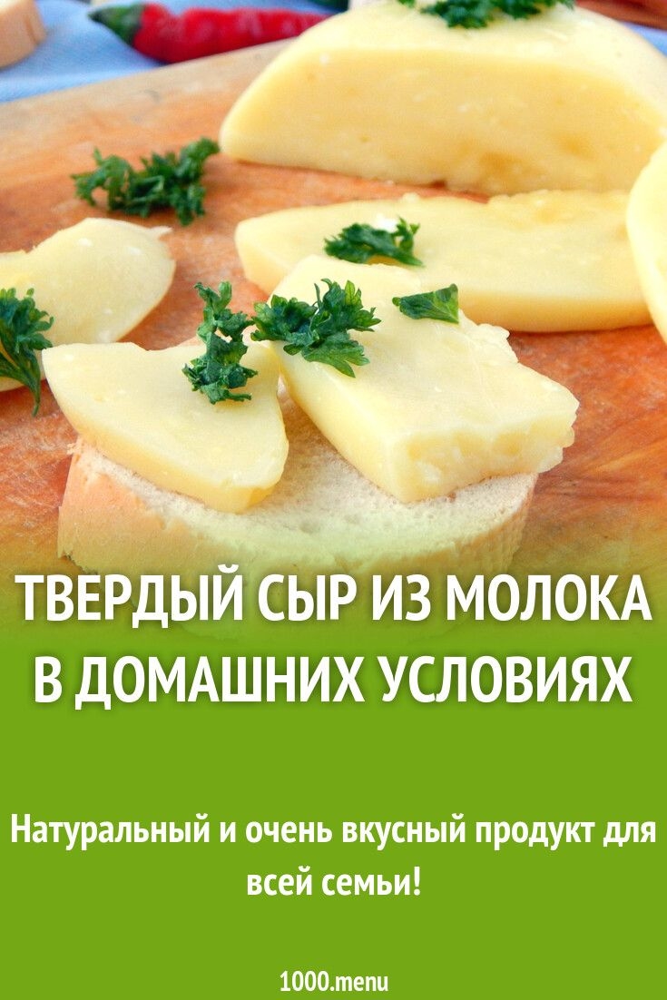Сыр из молока в домашних условиях