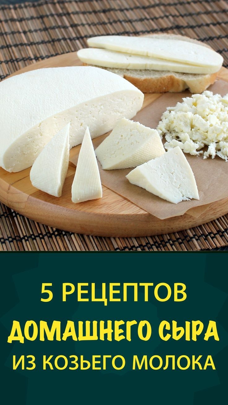 Сыр из молока в домашних