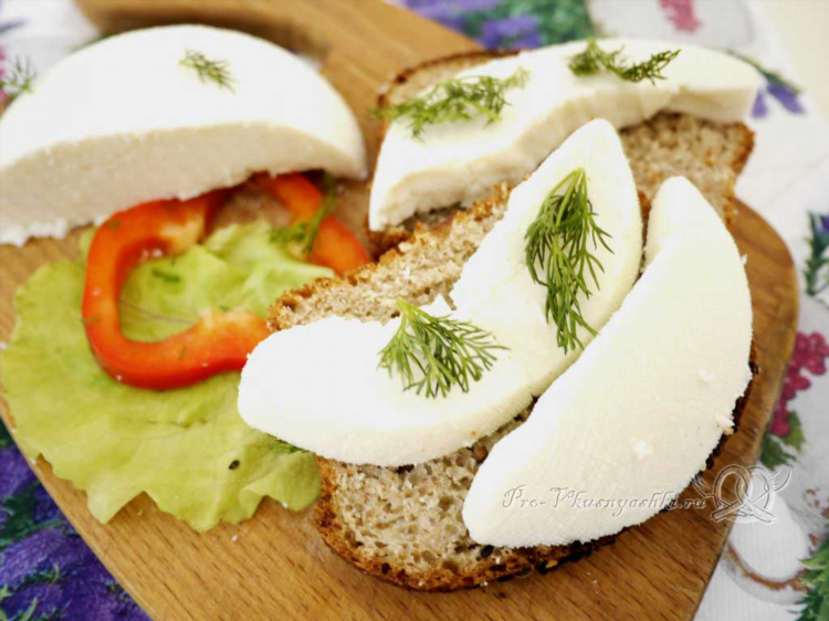 Сыр из сыворотки в домашних условиях рецепт