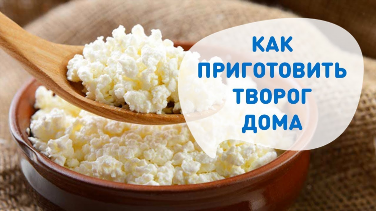 Сыр из творога и сметаны в домашних условиях