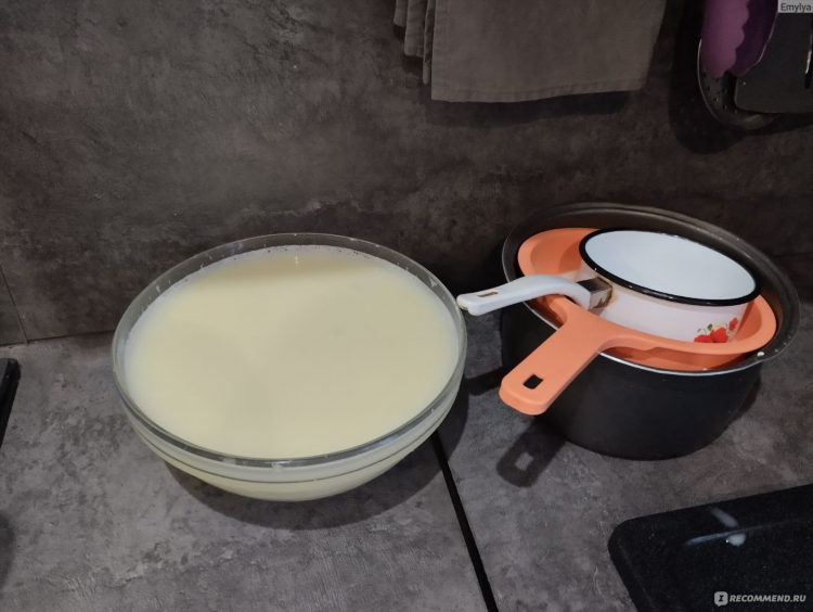 Сыр качотта рецепт в домашних условиях из козьего молока