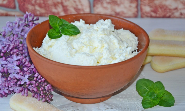 Сыр своими руками в домашних условиях из молока и сметаны